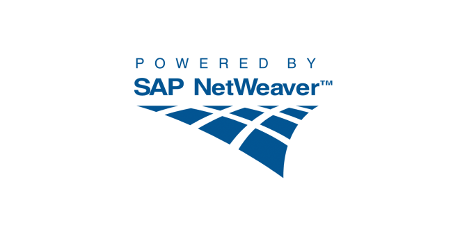 Logo displaying the text POWERED BY SAP NetWeaver with a stylized blue curved grid design underneath.